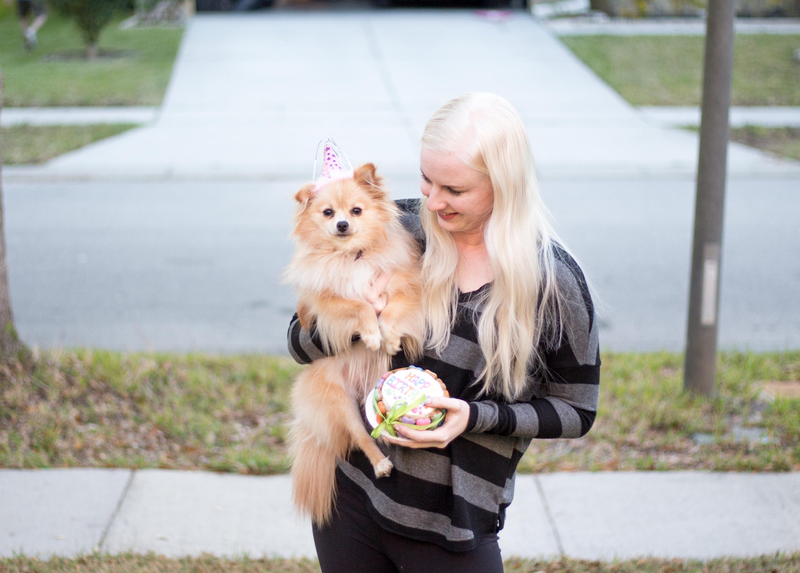 dog birthday celebration