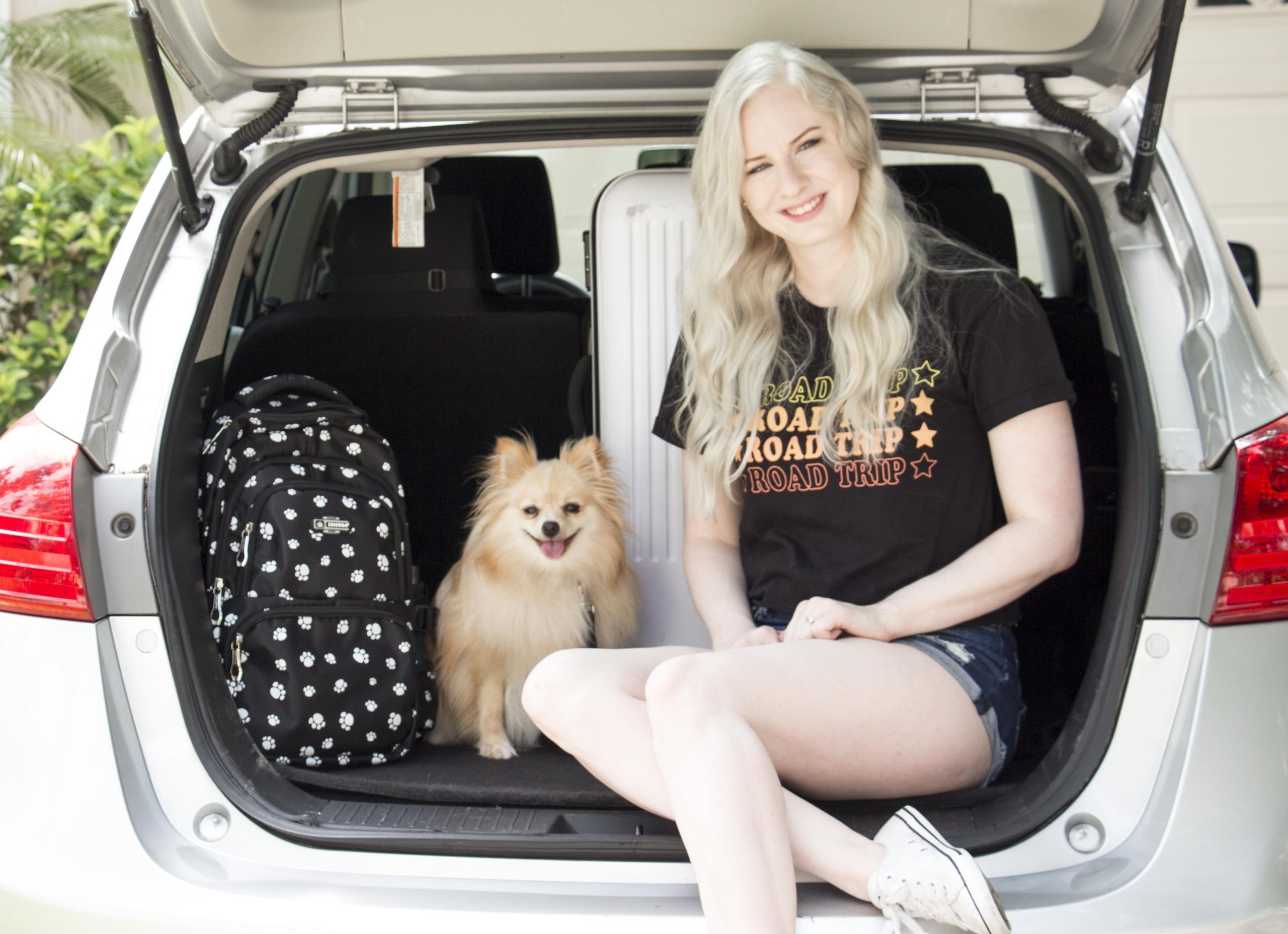 CLARA’S DOG ROADTRIP ESSENTIALS